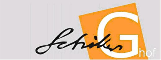 Logo Schiller-Gymnasium Hof