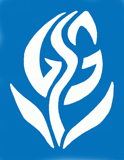 Logo Geschwister-Scholl-Gymnasium Röthenbach a.d.Pegnitz