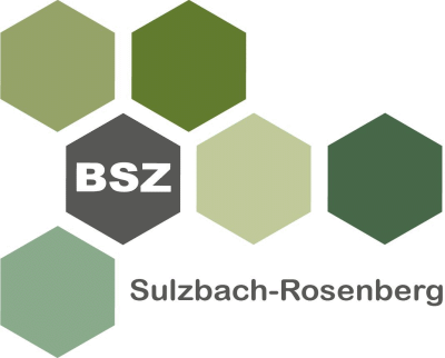 Logo Staatl. Berufsschule Sulzbach-Rosenberg