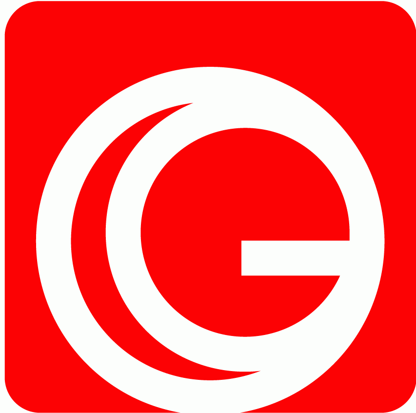 Logo Guentner-IT