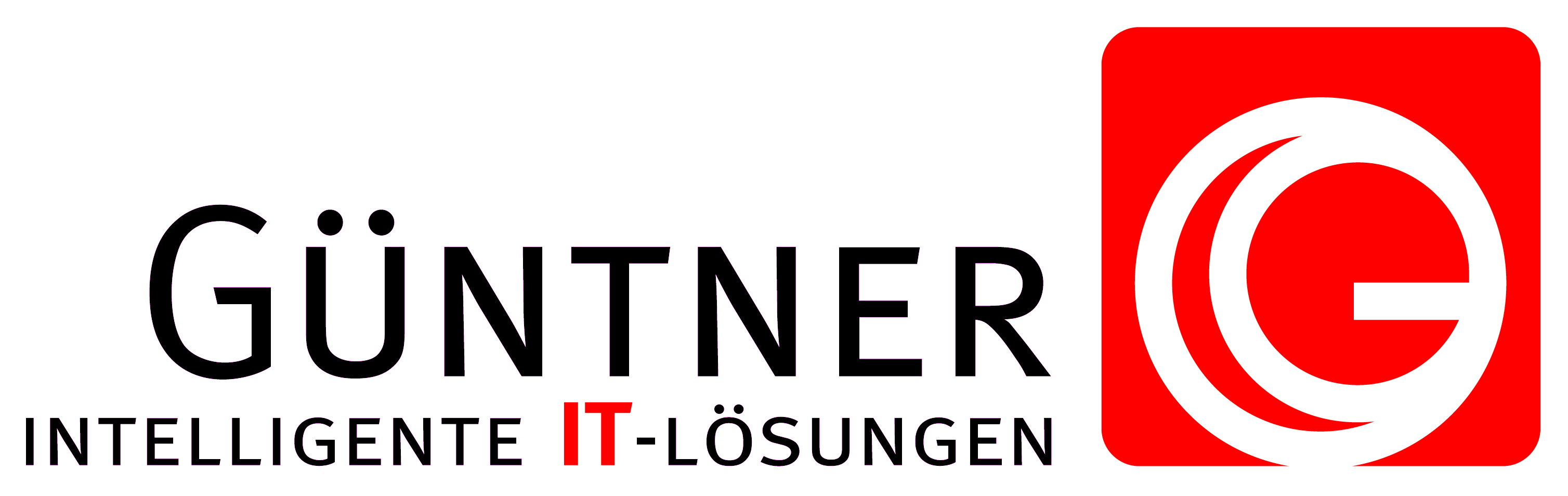 Login-Modul Güntner-IT